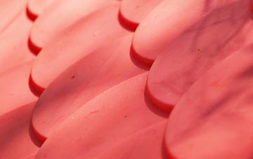 Wark plastic roof costs