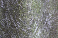 Wark fibreglass roof work